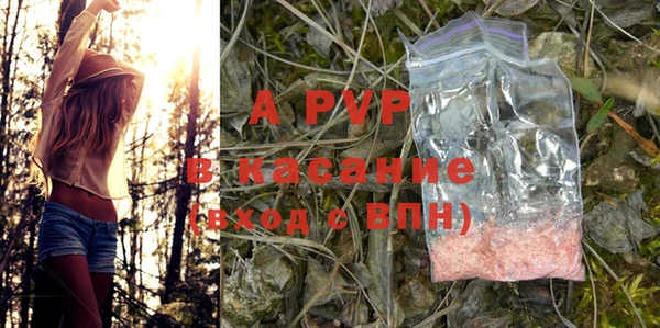 дурь Бородино