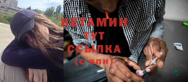 дурь Бородино
