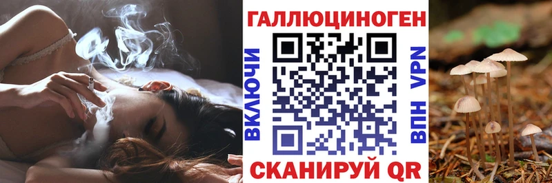 сколько стоит  Малаховка  Псилоцибиновые грибы мицелий 